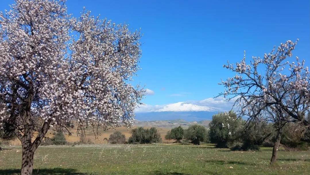 "San Placido Green House" Villa Con Piscina Castel di Iudica Eksteriør bilde